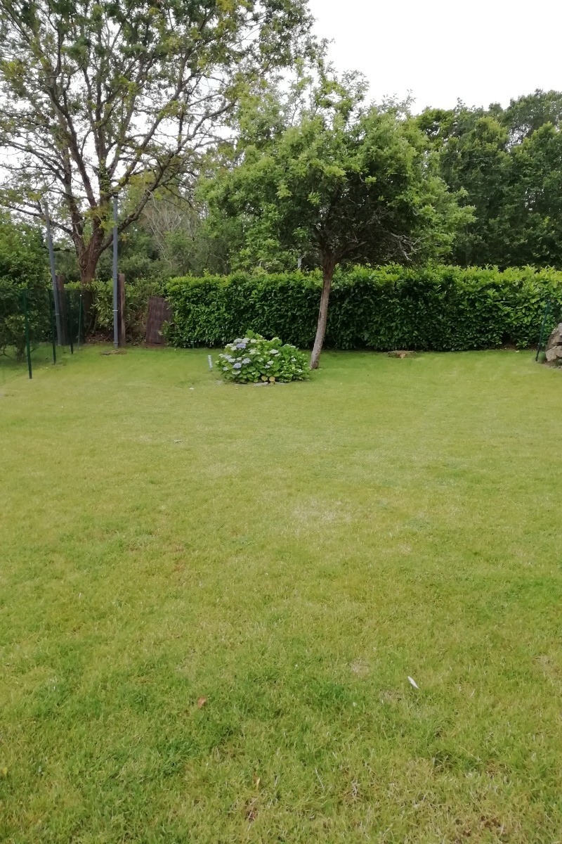 Vue jardin
