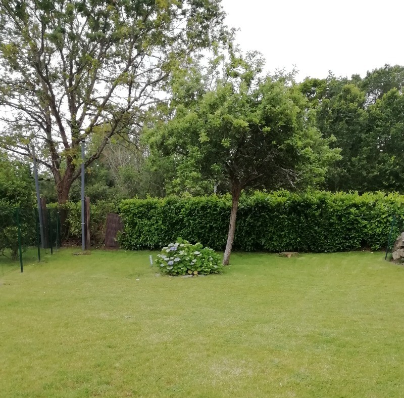 Vue jardin