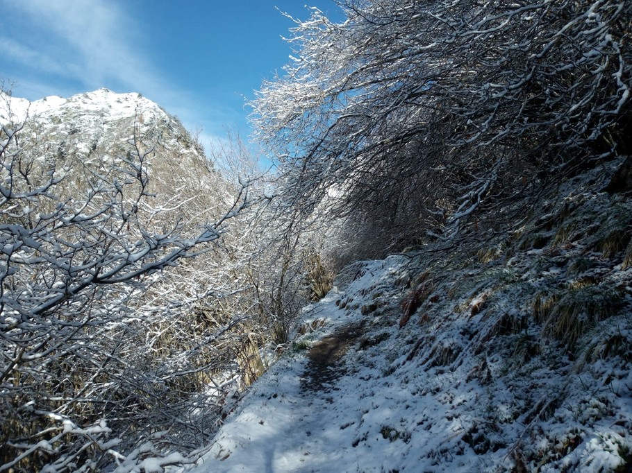 Photo n° 20 de la location