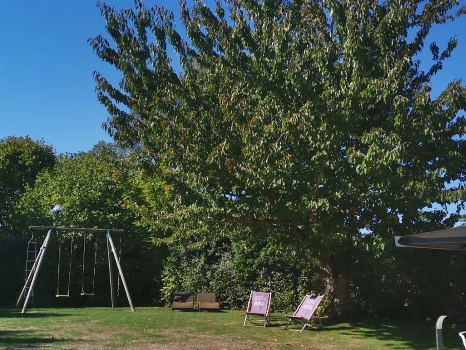 Jardin clos et arboré avec balançoire
