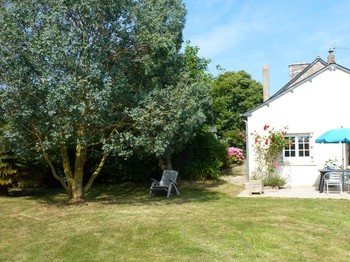Côté jardin privatif : vue sur terrasse