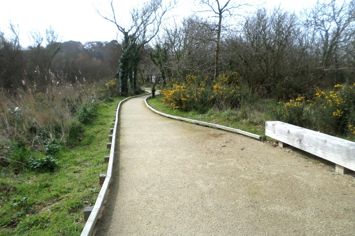 Promenade dans les marais