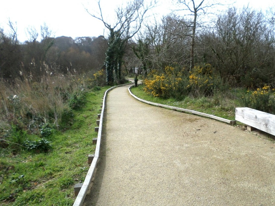 Promenade dans les marais
