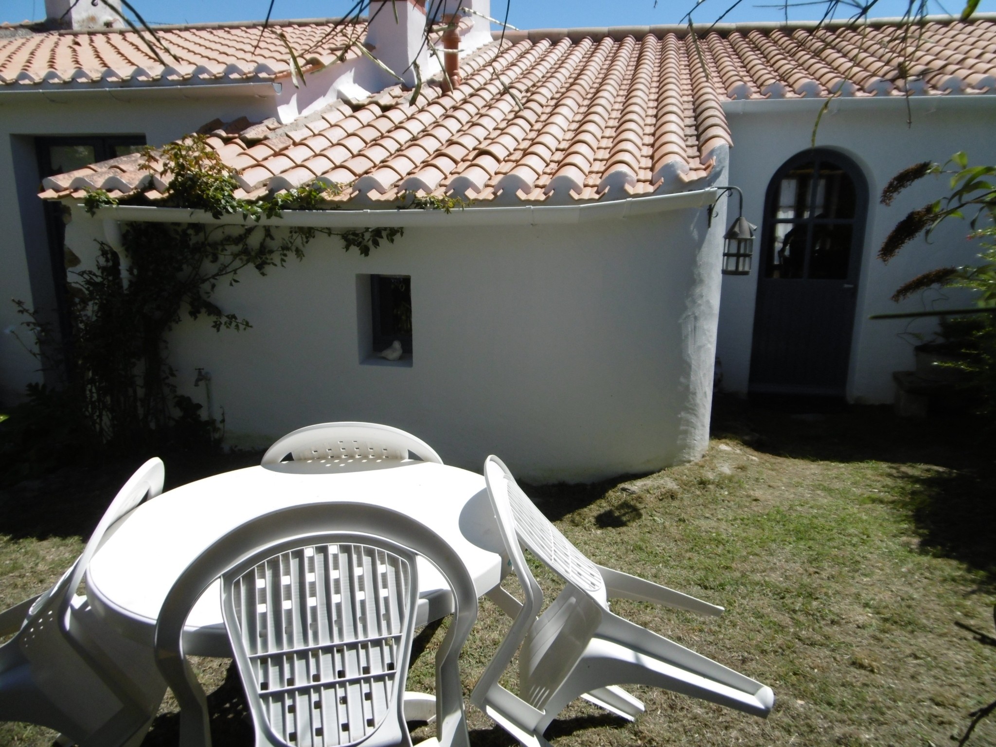 Jardin