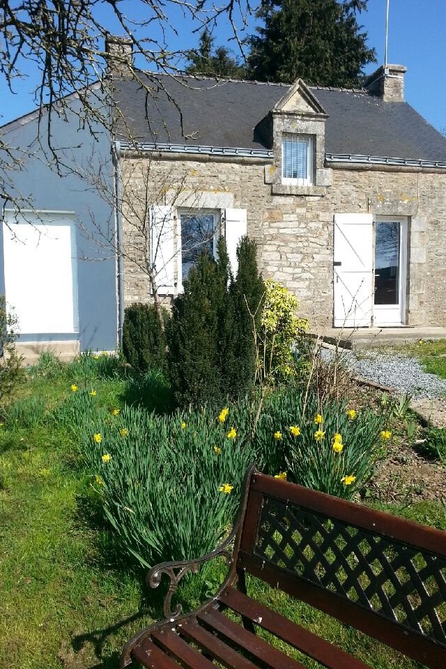 Premières jonquilles...