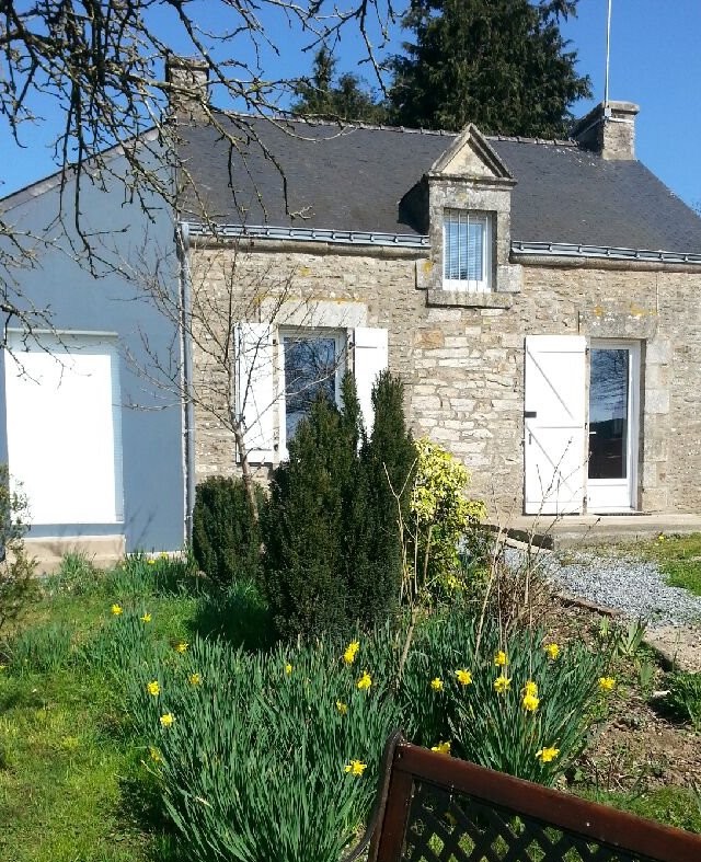 Premières jonquilles...