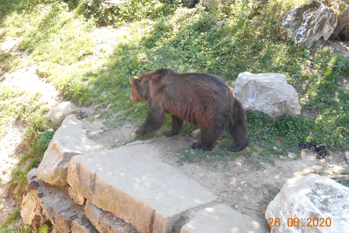 Aran Parc