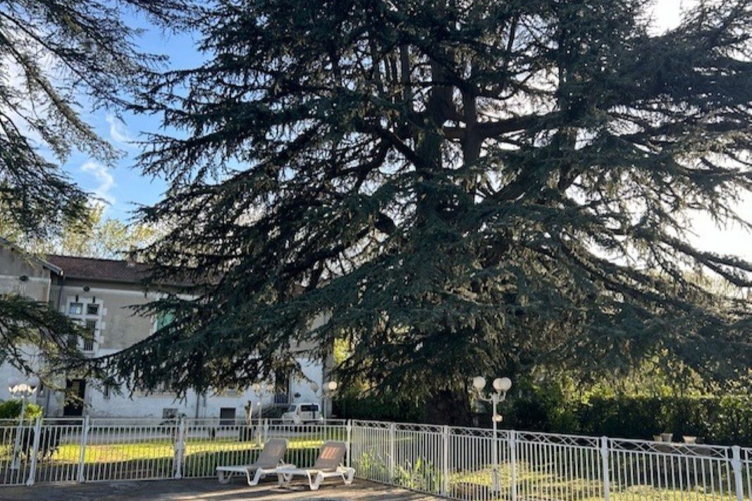 Photo n° 2 of the location