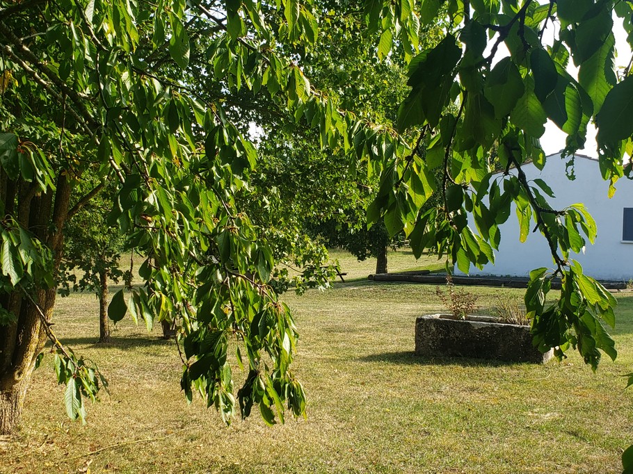 Photo n° 20 of the location