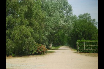 arrivée au Domaine