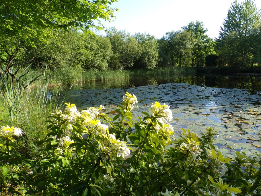 L'ETANG