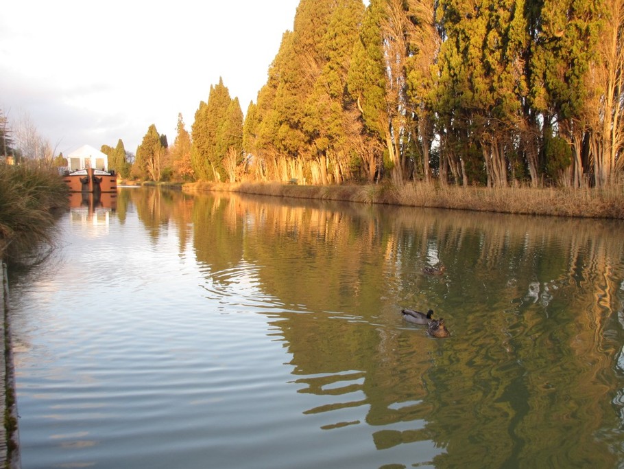 Photo n° 16 de la location