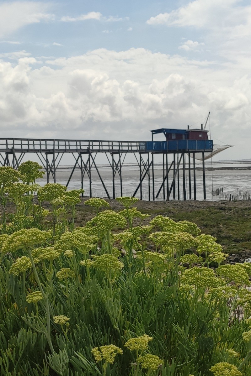 L'ile Madame