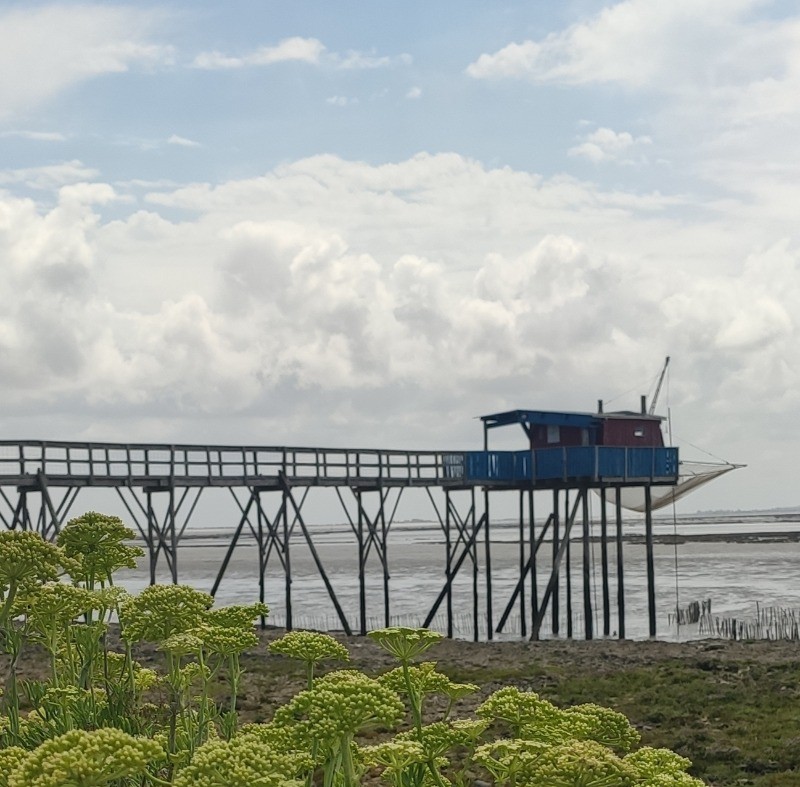 L'ile Madame