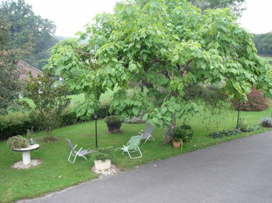 Photo n° 15 de la location