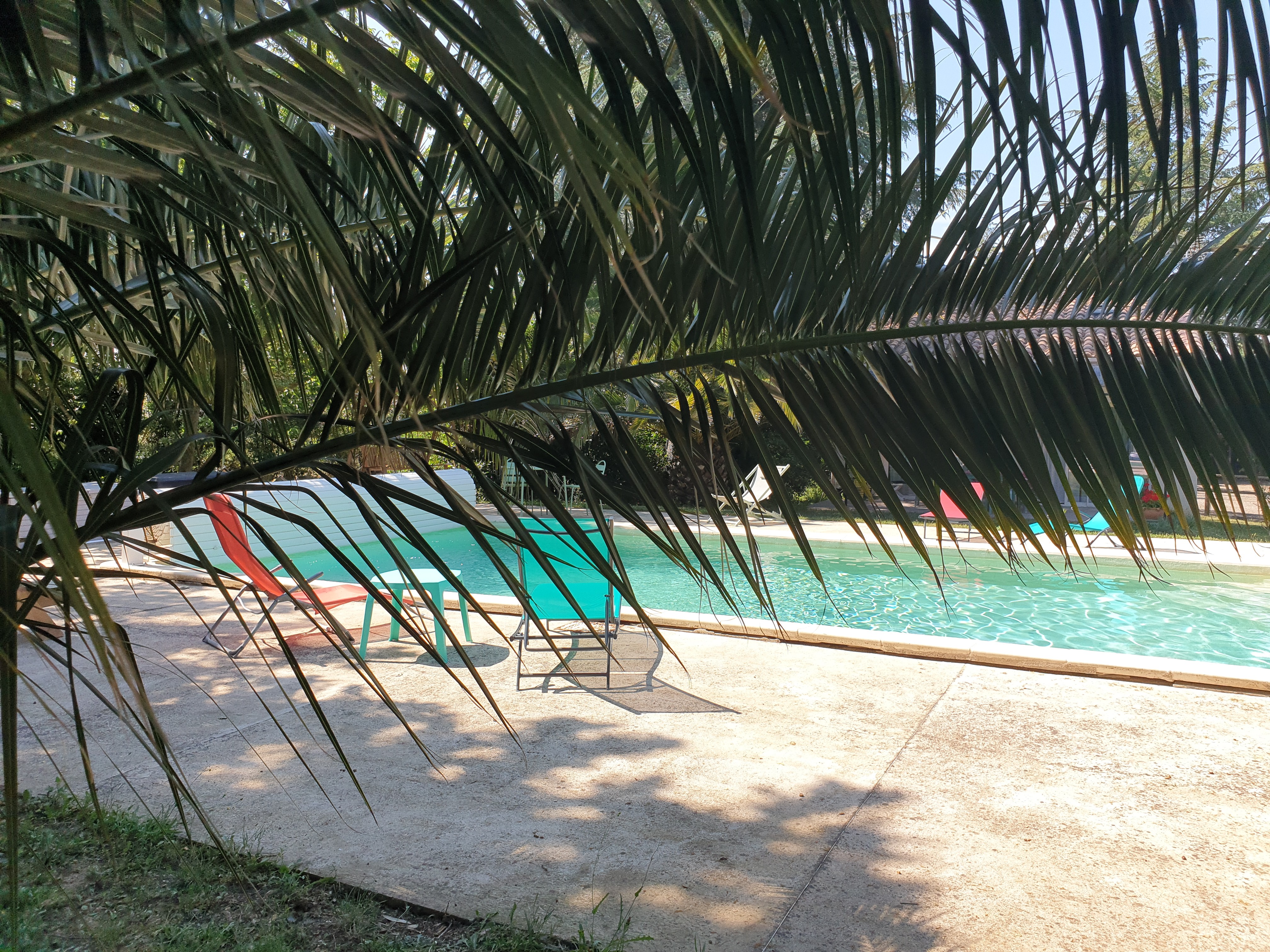 Photo n° 6 de la location