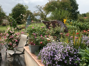 La plage fleurie de la piscine