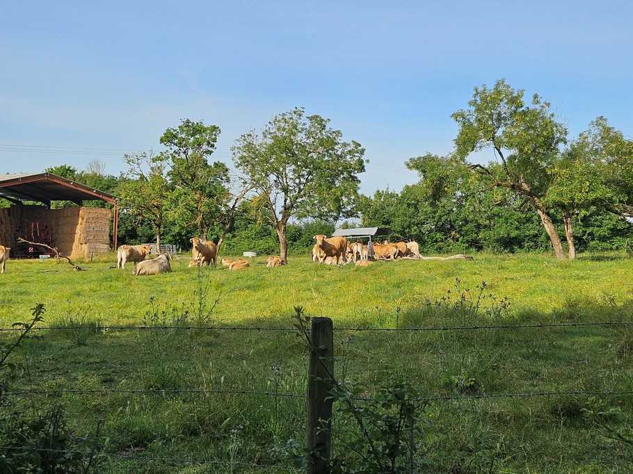 A la campagne aux alentours