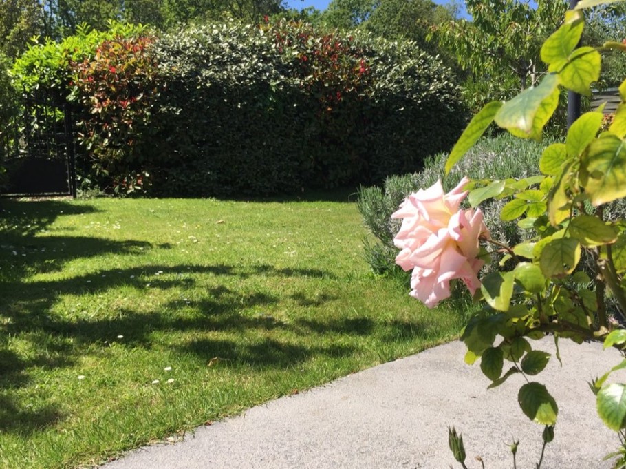 The garden is enclosed