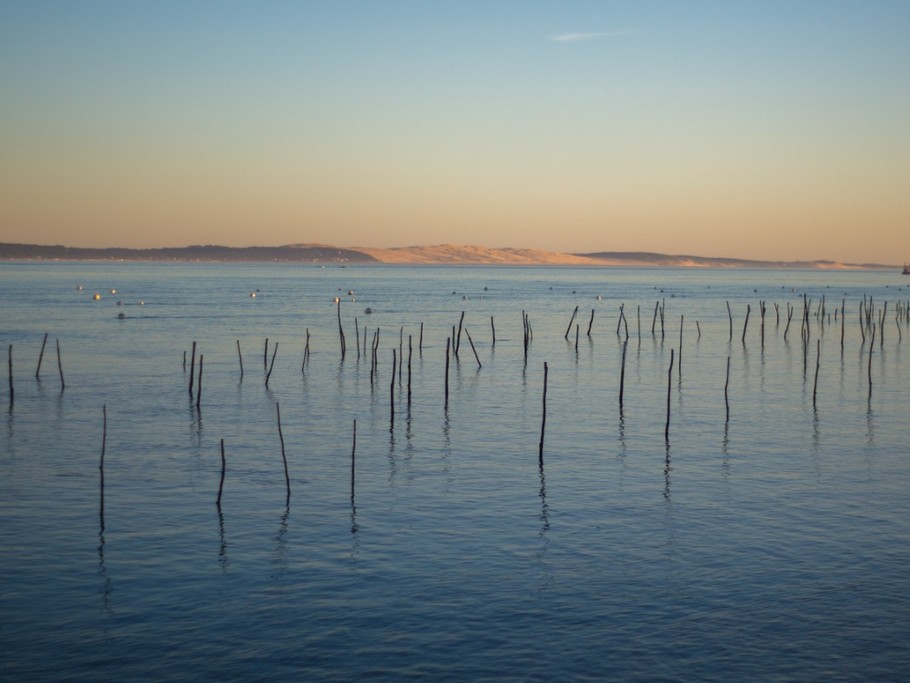 Photo n° 6 of the location