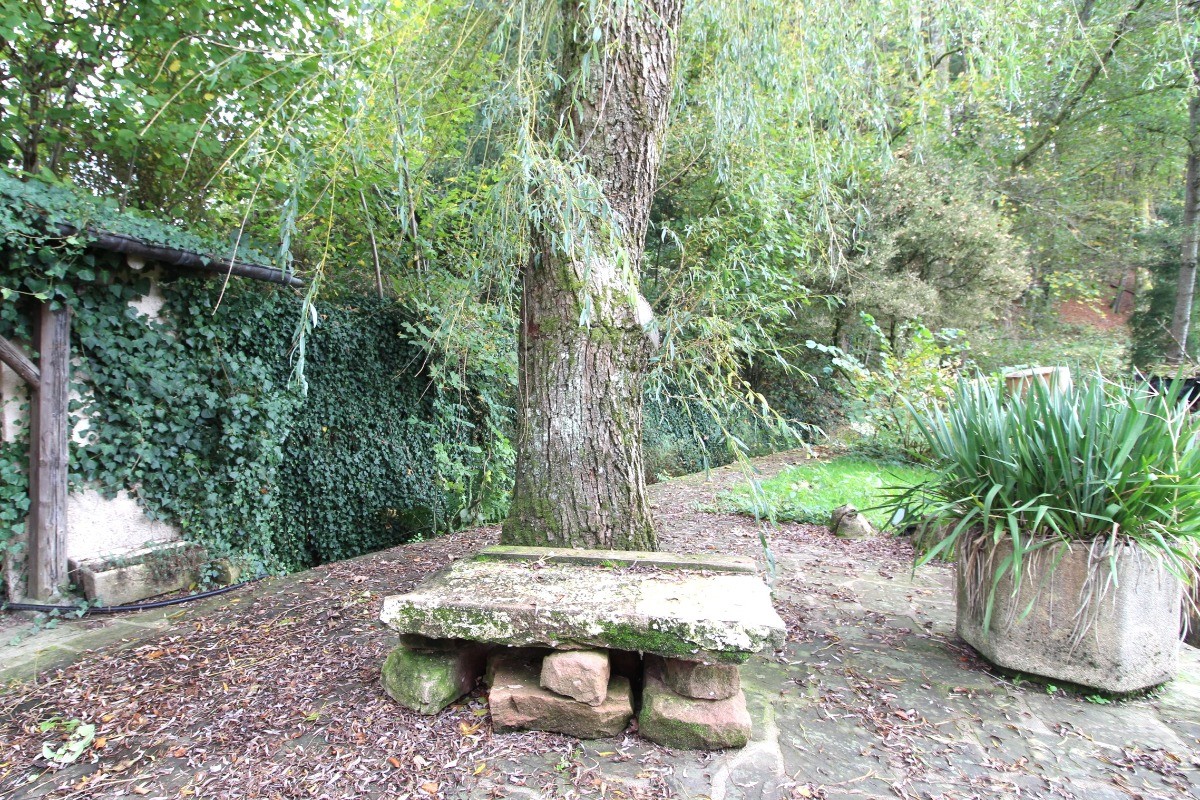 Extérieur commun - Gîte Alfonsina Strada, Docelles