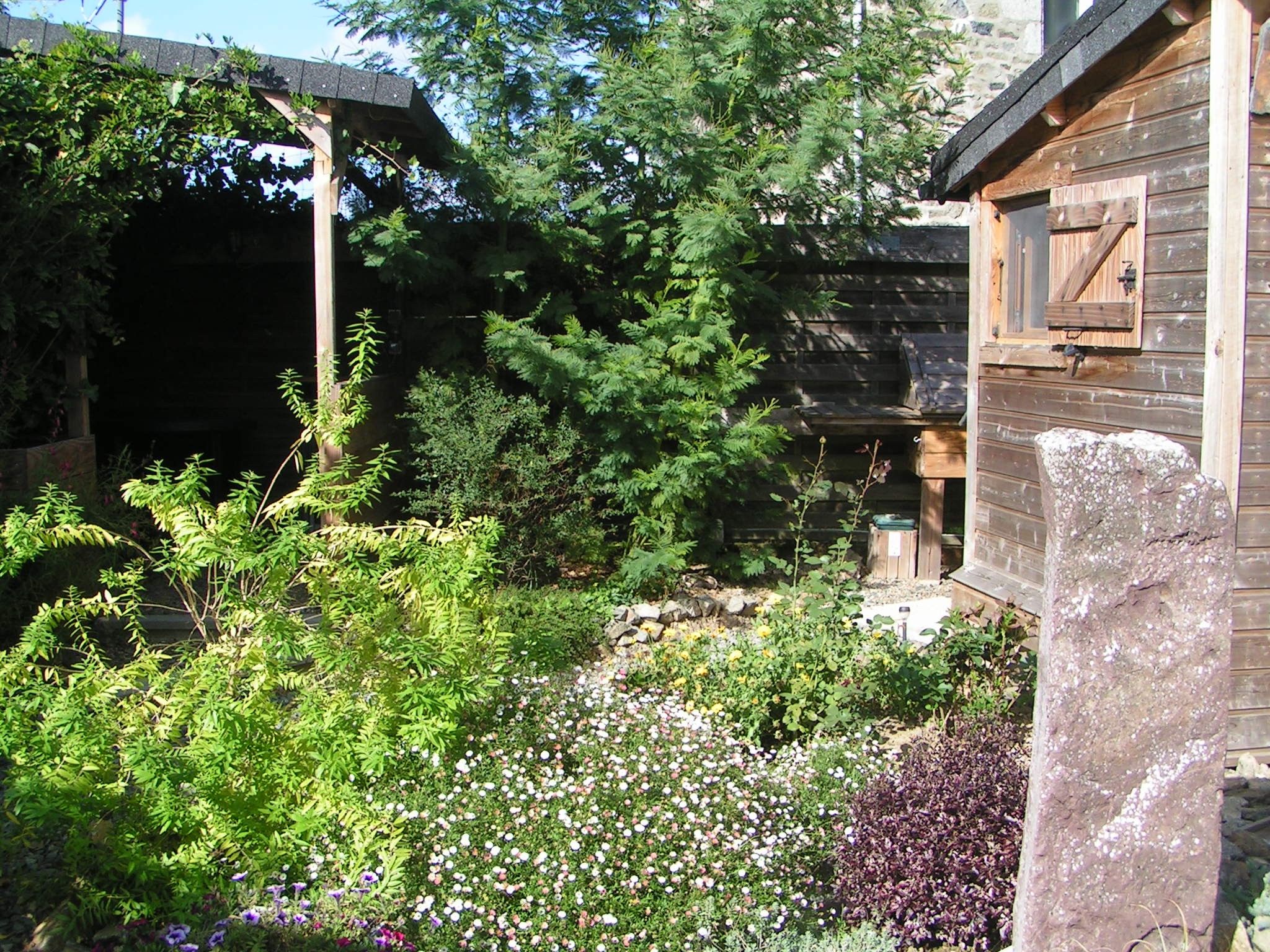 Chalet Mimosa, fleurs