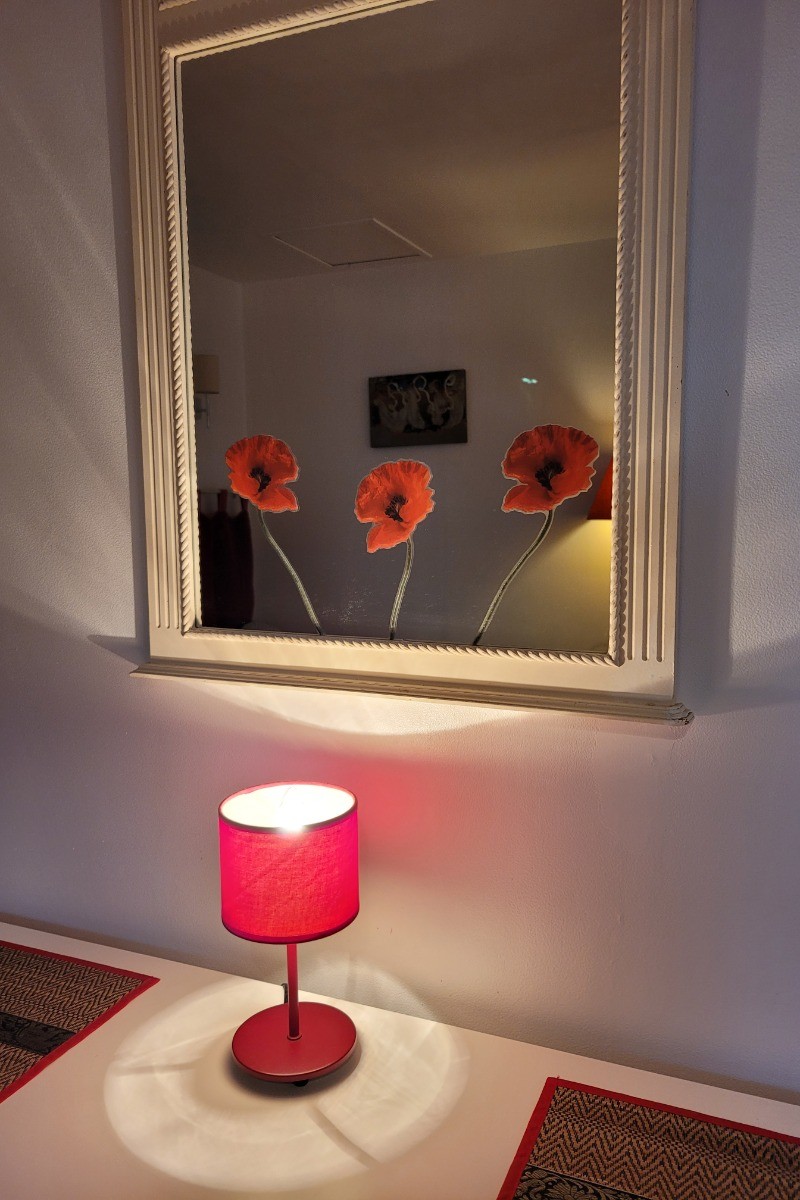 Photo n° 3 de la location