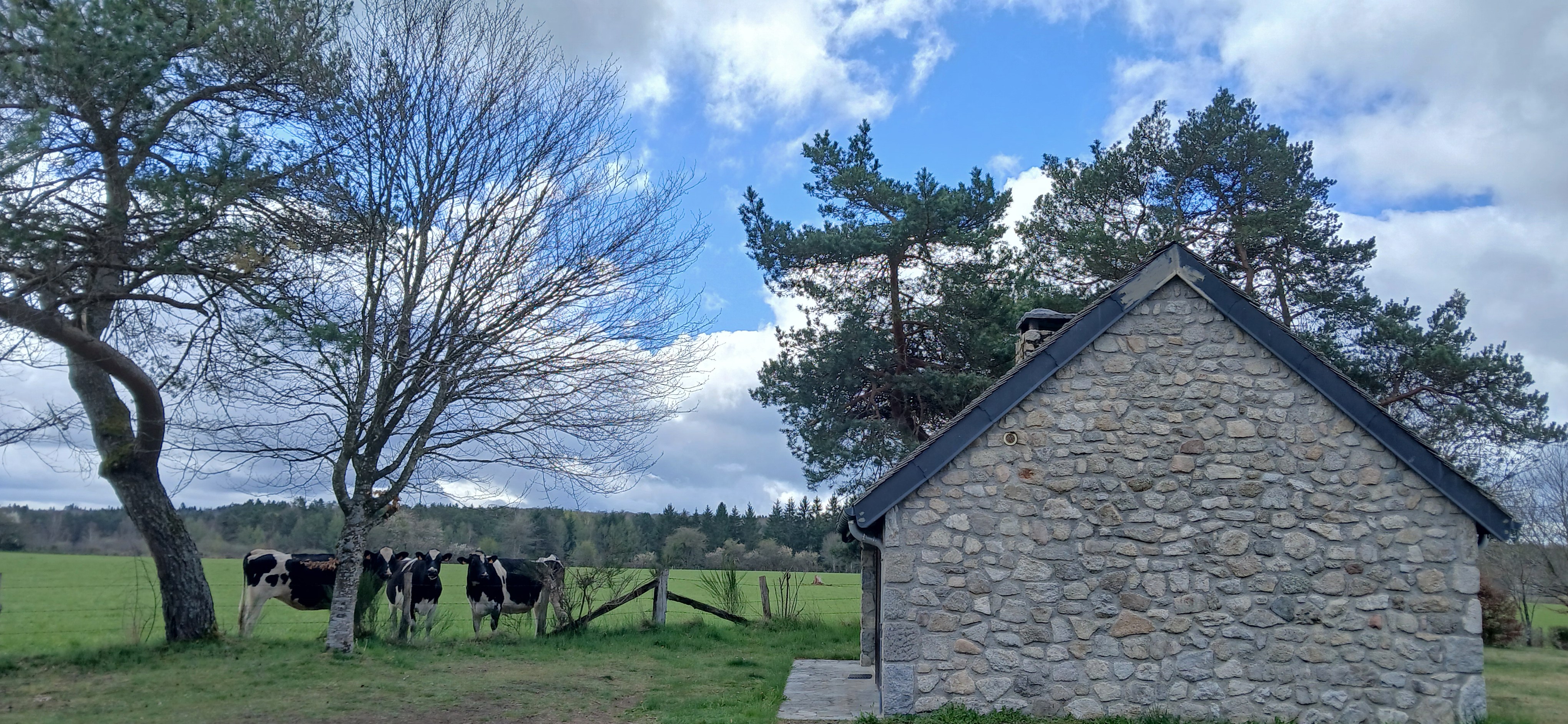Etang de Farges, Saint Germain près Herment, Chalet vert - Extérieur