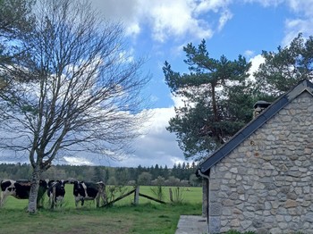Etang de Farges, Saint Germain près Herment, Chalet vert - Extérieur