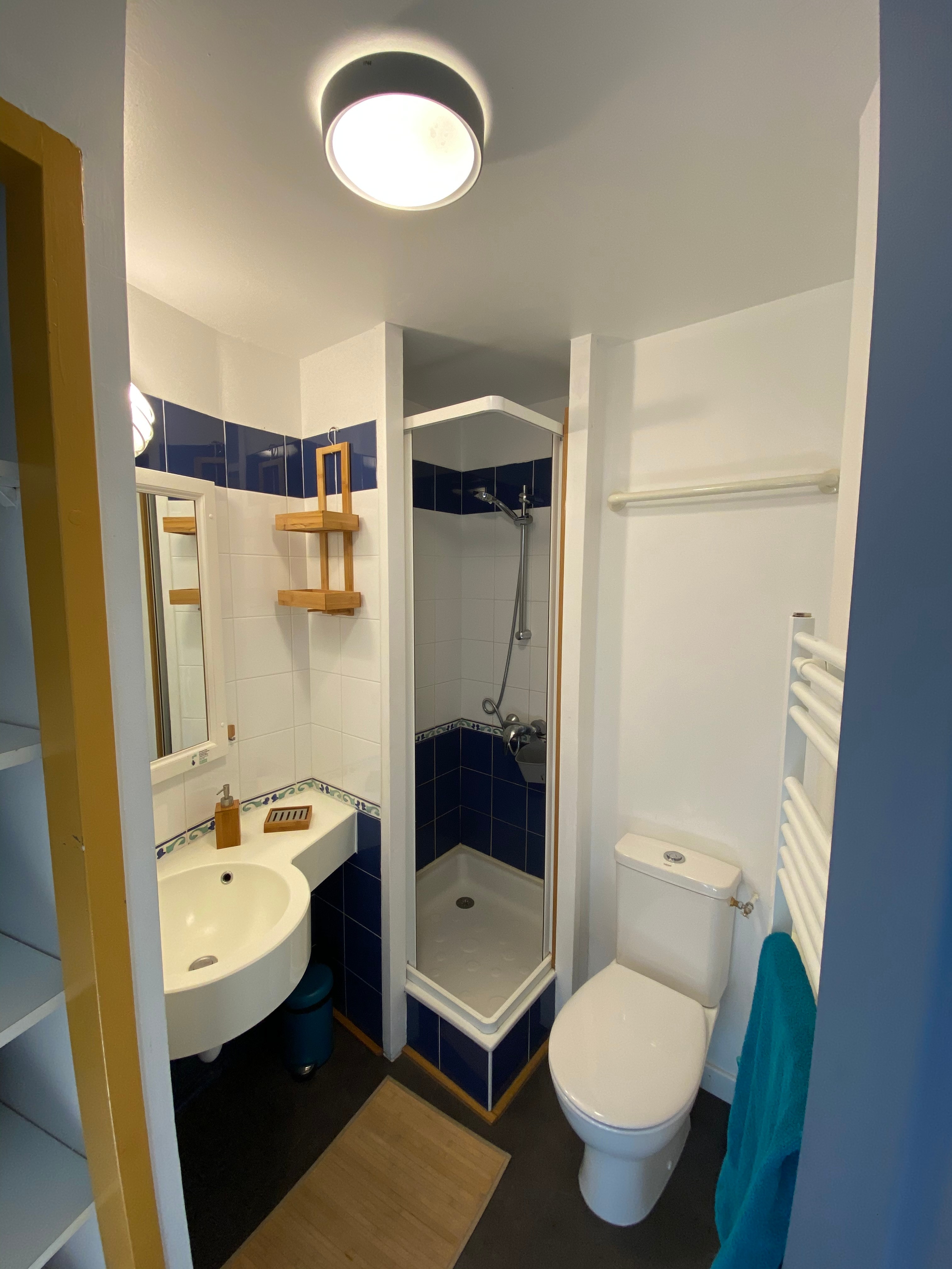 Ground floor: shower room with WC