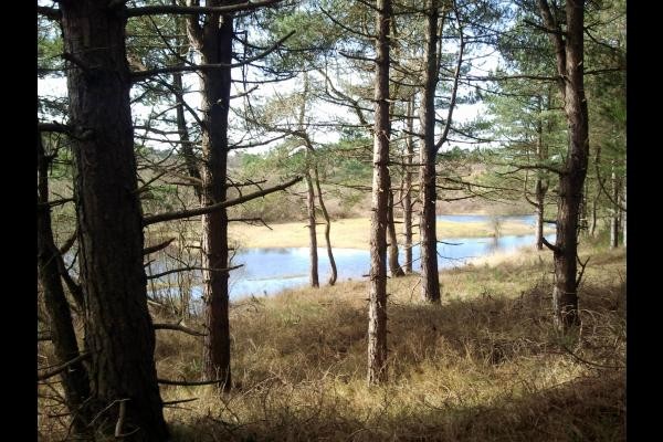 BALADE EN FORET