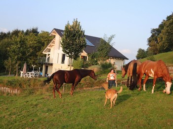 Photo n° 1 de la location