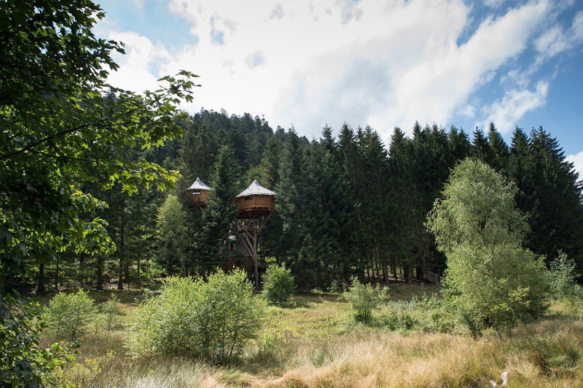 Tribu Perchée vue sur la clairière Bol d'Air (c) Michel Laurent