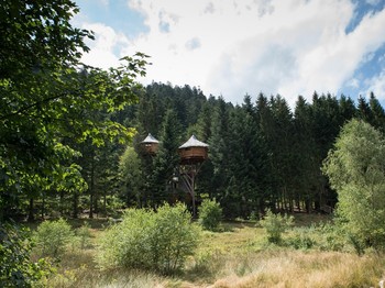 Tribu Perchée vue sur la clairière Bol d'Air (c) Michel Laurent