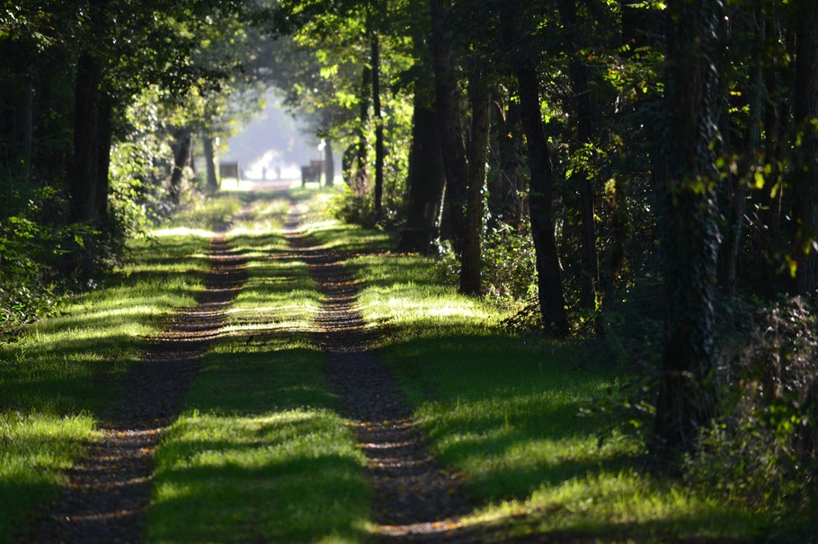 Photo n° 18 de la location