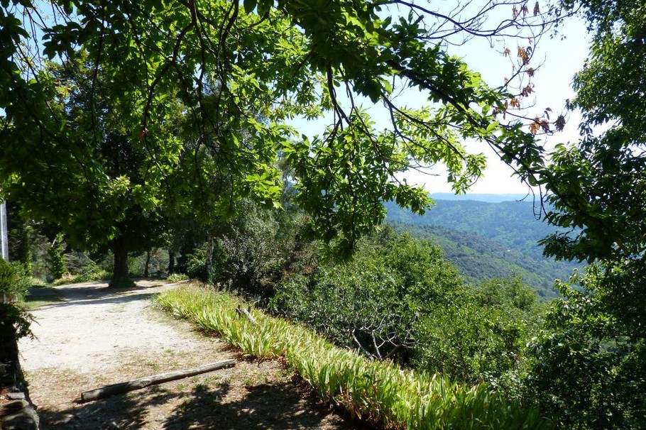 Terrain de boules ombragé dans la châtaigneraie à proximité immédiate.