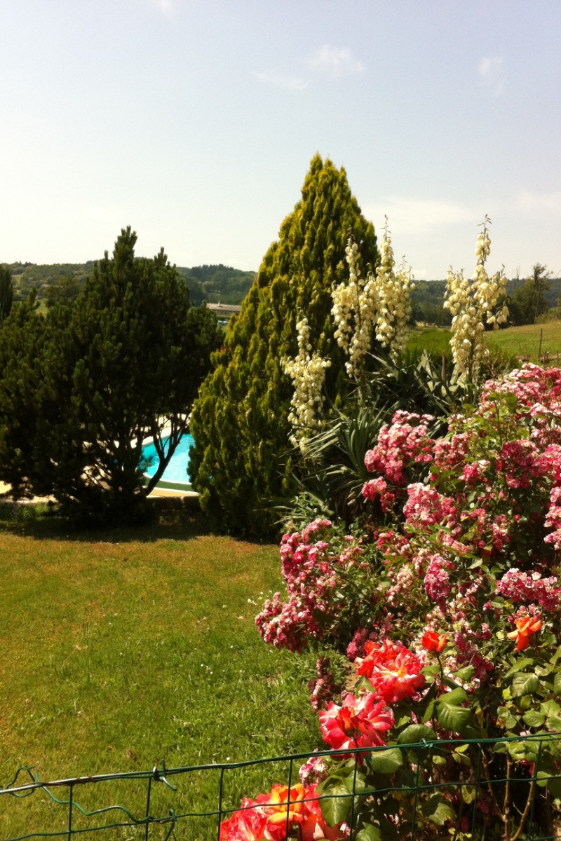 Photo n° 12 of the location