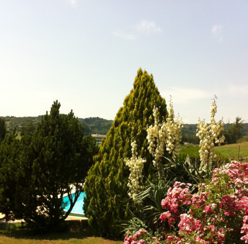 Photo n° 12 de la location