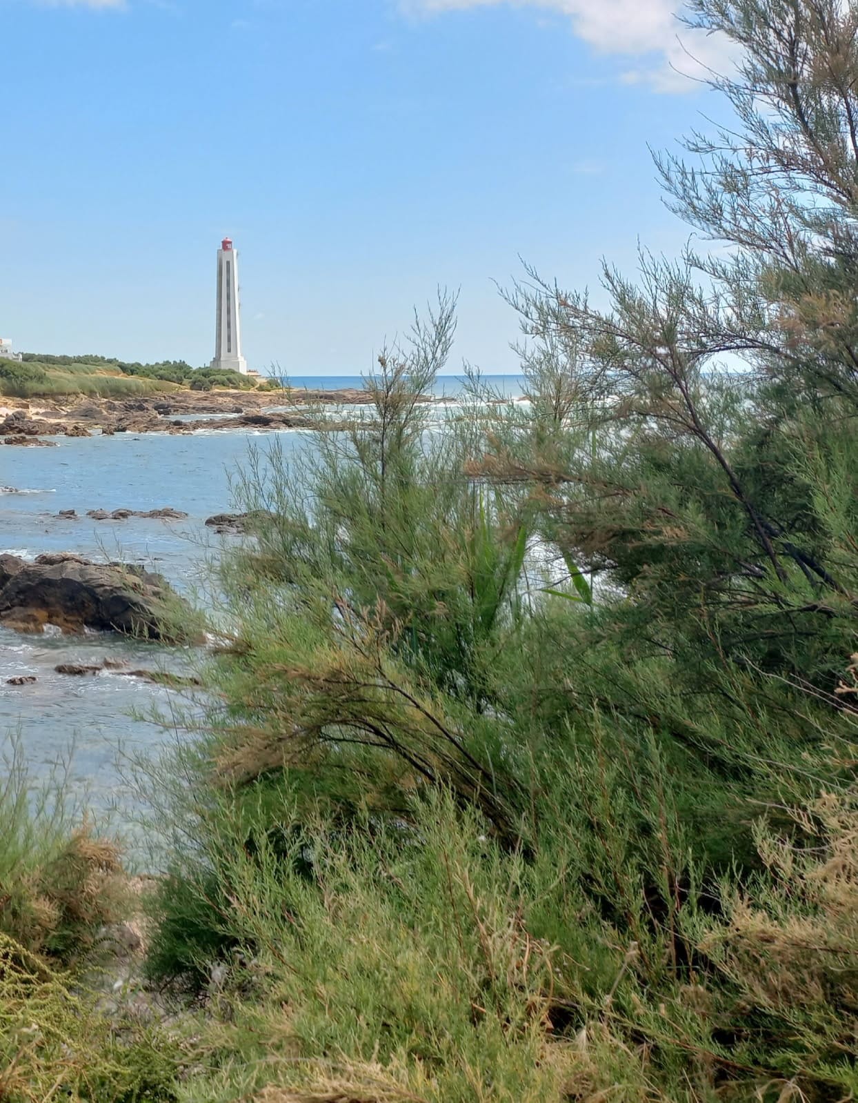 Image n° 2 of the location