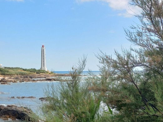 Image n° 1 de la location