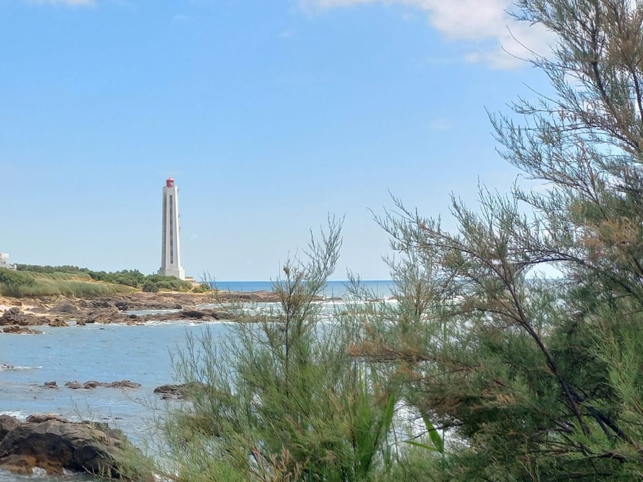 Photo n° 2 of the location