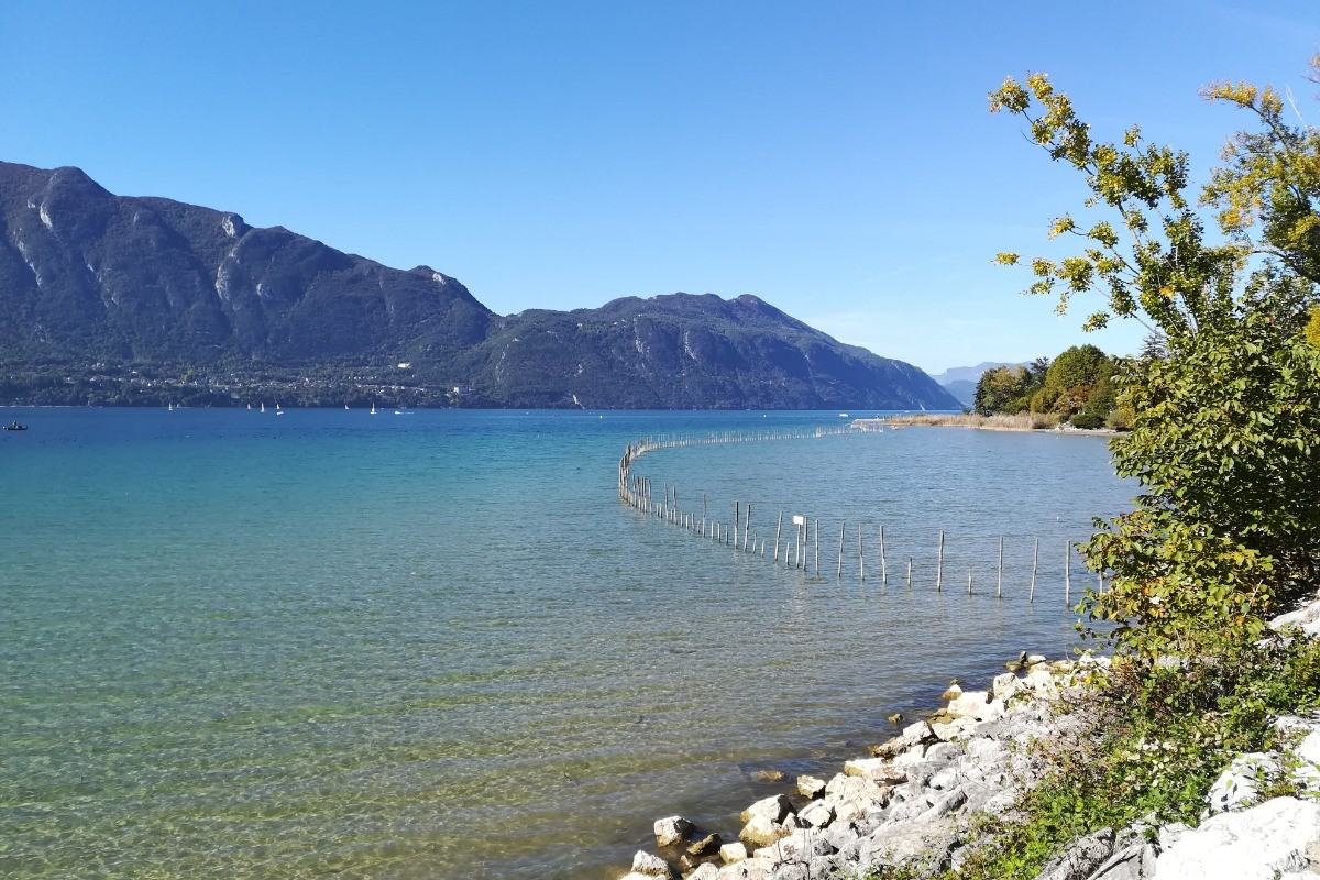 Lac du Bourget
