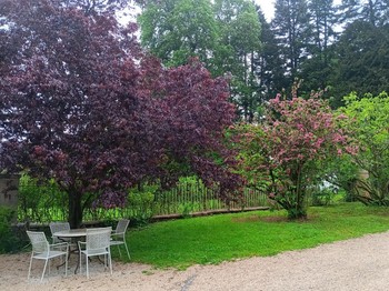 Photo n° 7 de la location