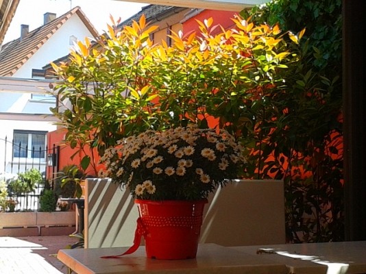 Photo n° 9 of the location