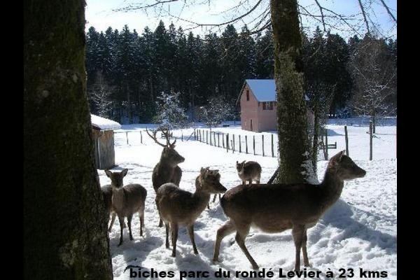Parc du Rondé Levier forest 23 km away