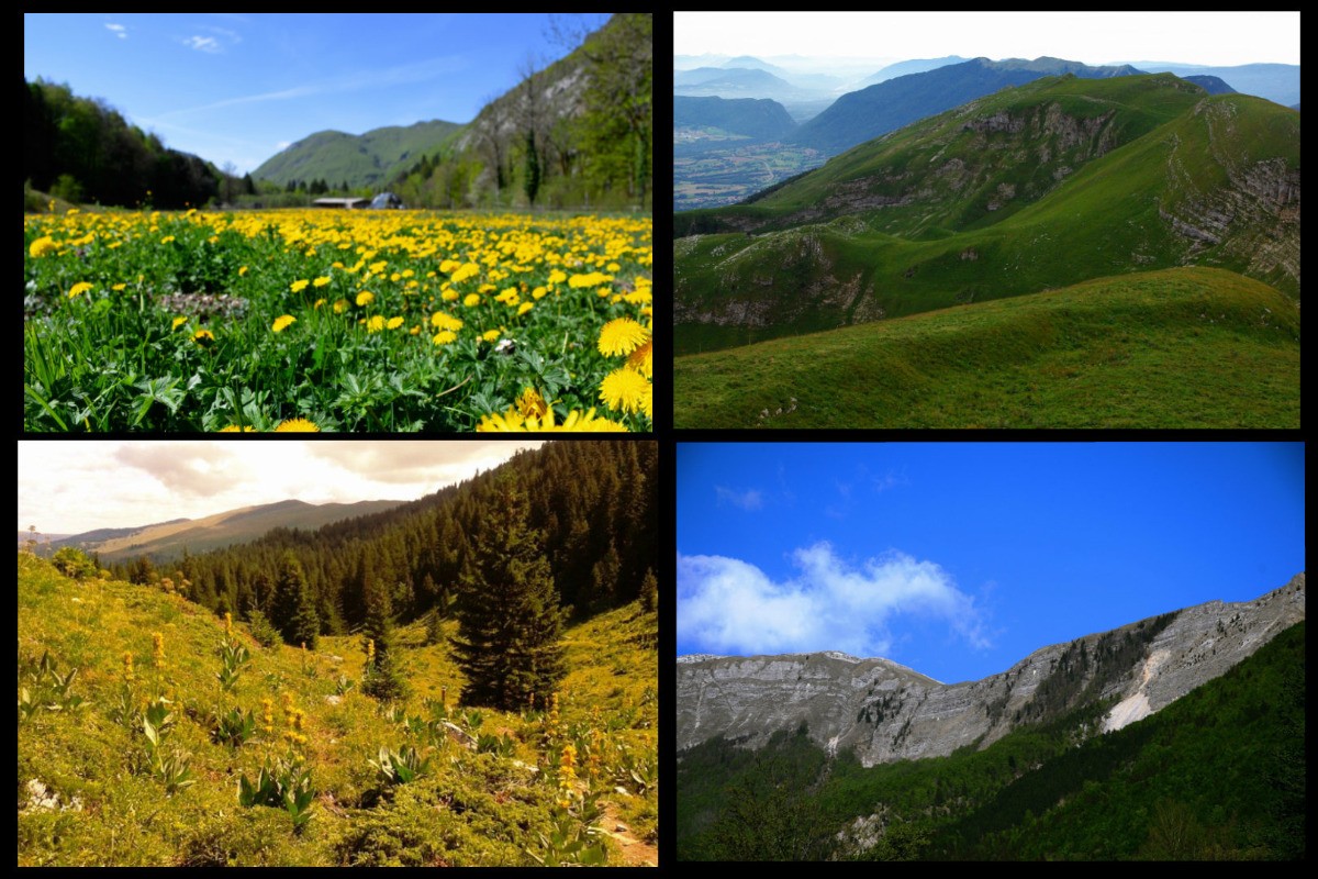 PAYSAGES ENVIRONANTS