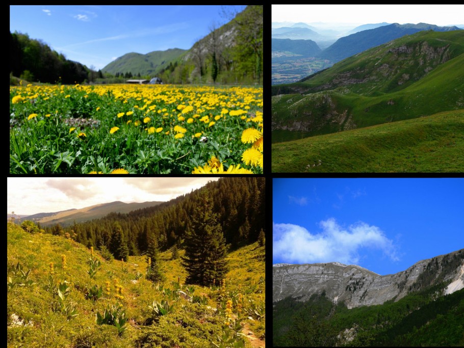 PAYSAGES ENVIRONANTS