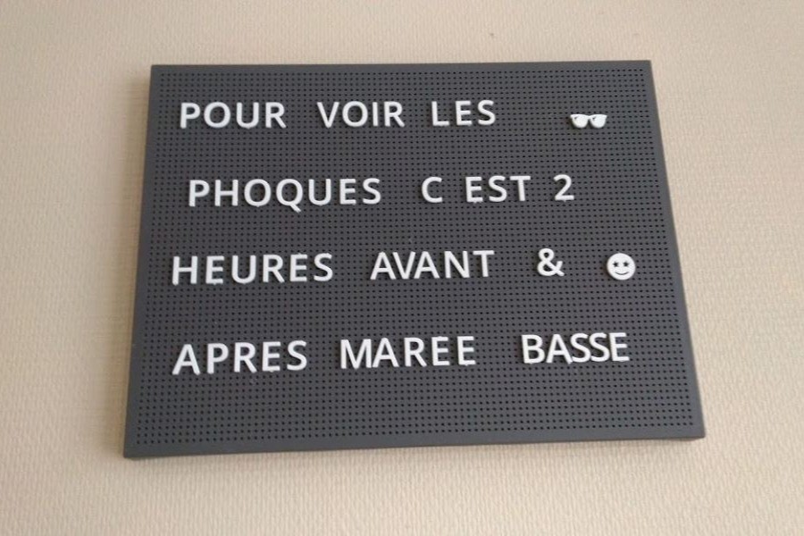 Photo n° 11 of the location