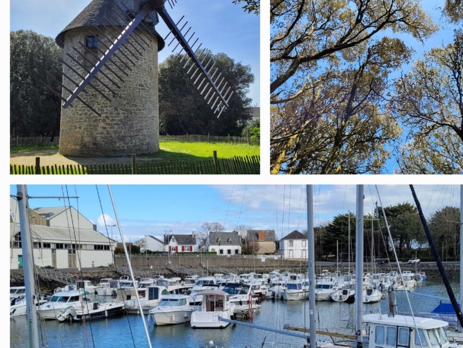 Photo n° 17 of the location