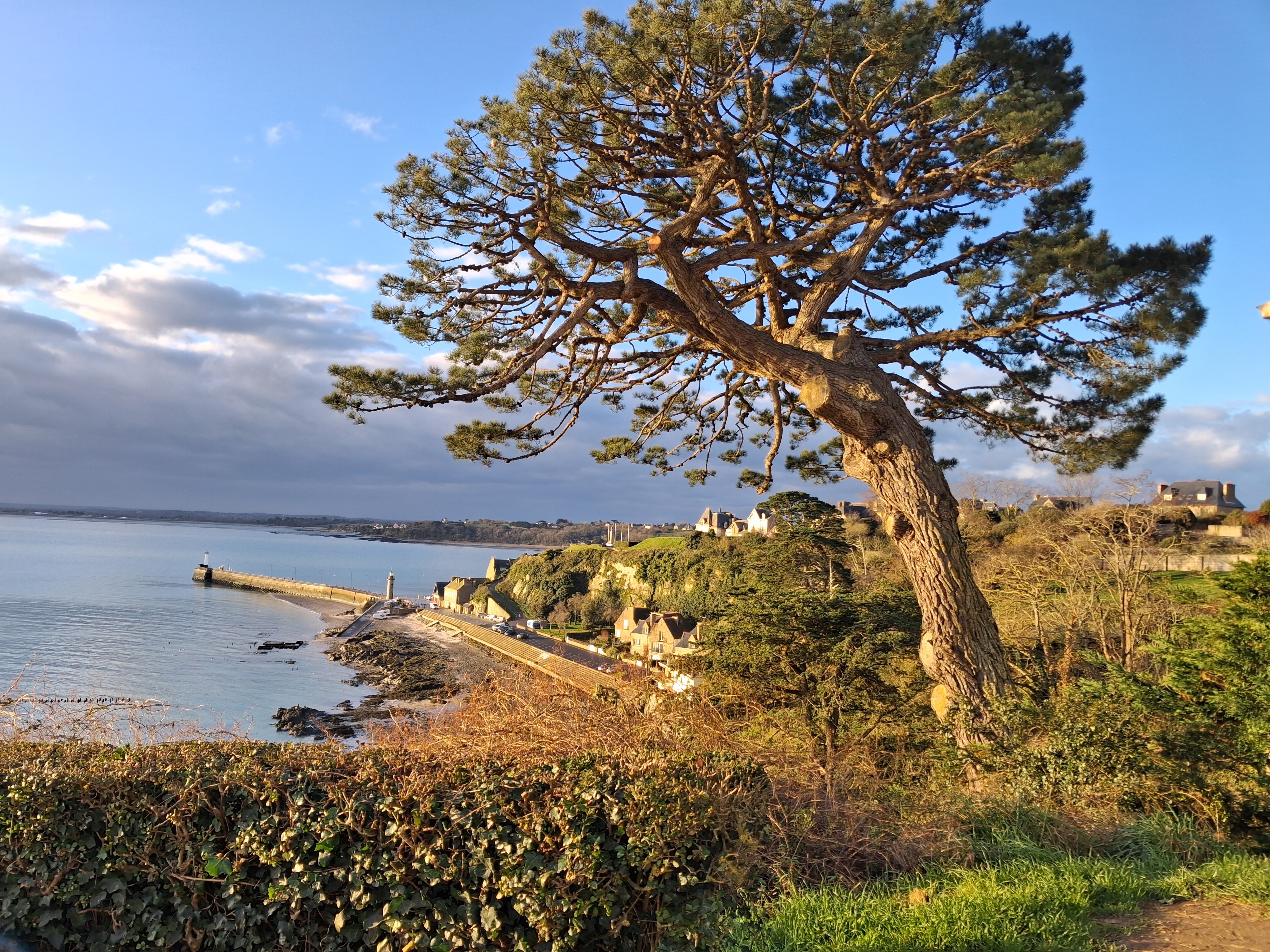 Photo n° 23 de la location